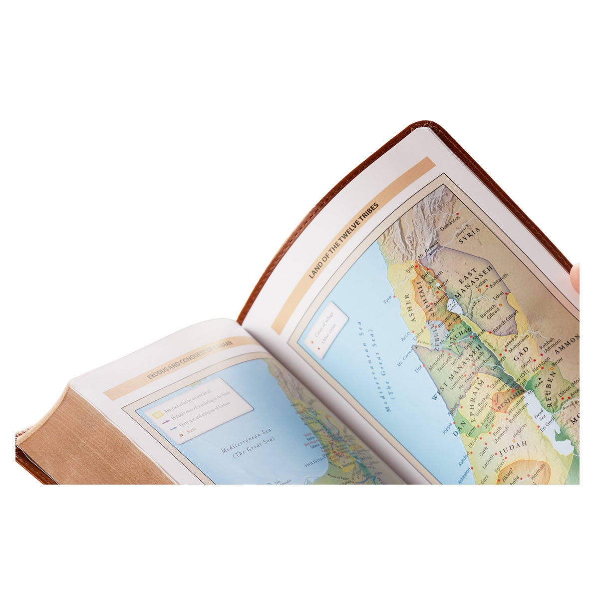 NKJV Personal Size Reference Bible Tan (Comfort Print)(Verse Art Cover)(Imitation Leather)