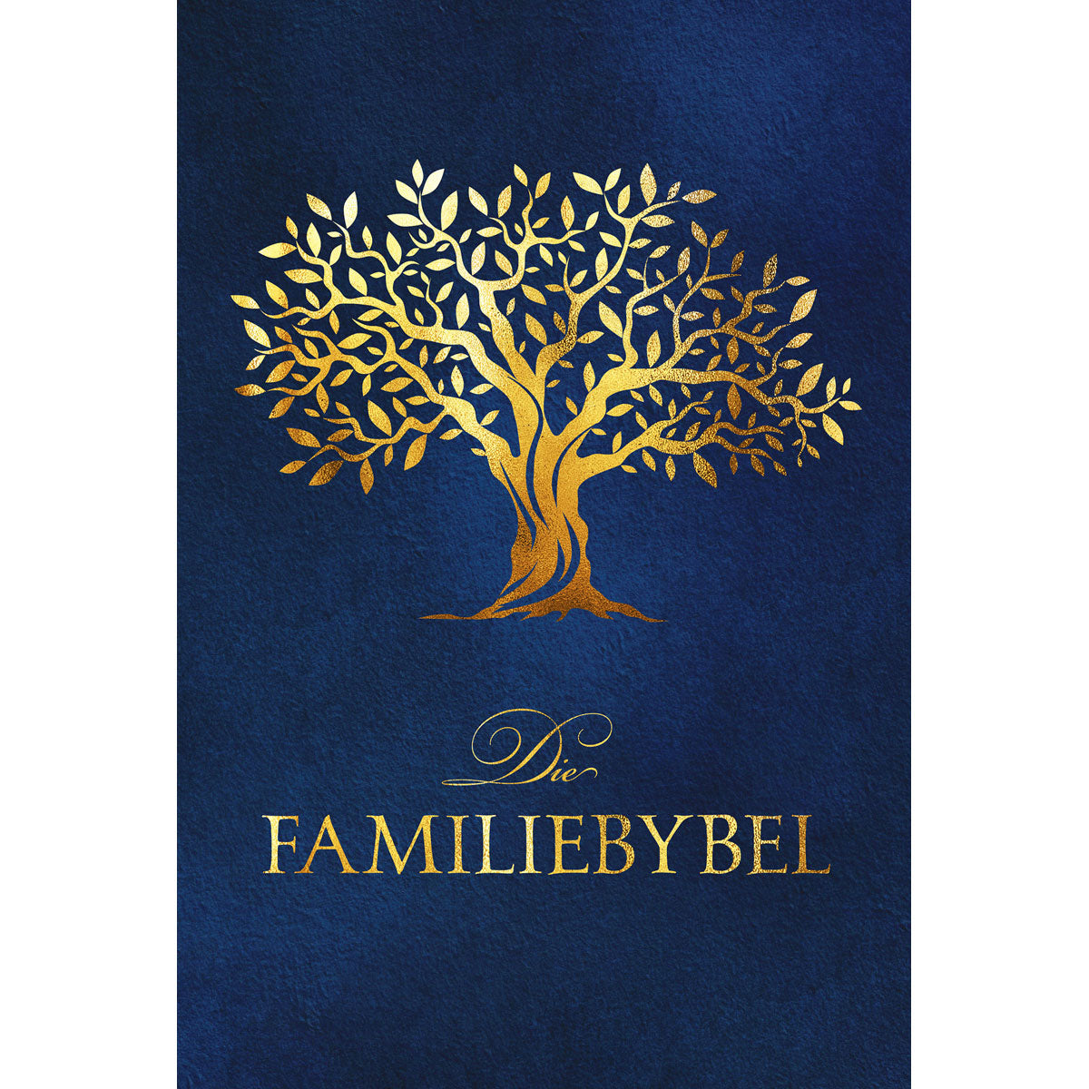 Afrikaans 2020 Vertaling Blou Hardeband Familiebybel