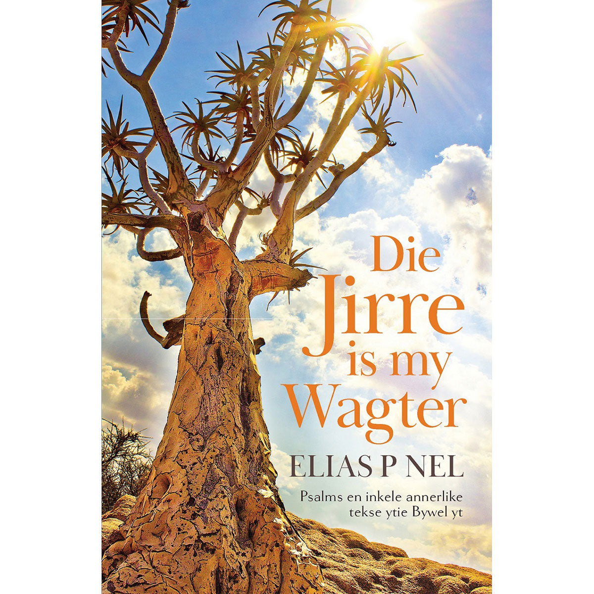 Die Jirre is My Wagter: Psalms En Inkele Annerlike Tekse Ytie Bywel Yt (Sagteband)