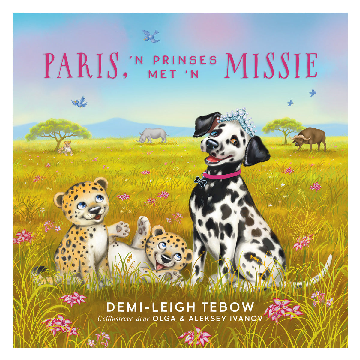 Paris: ’n Prinses met ’n Missie (Sagteband)