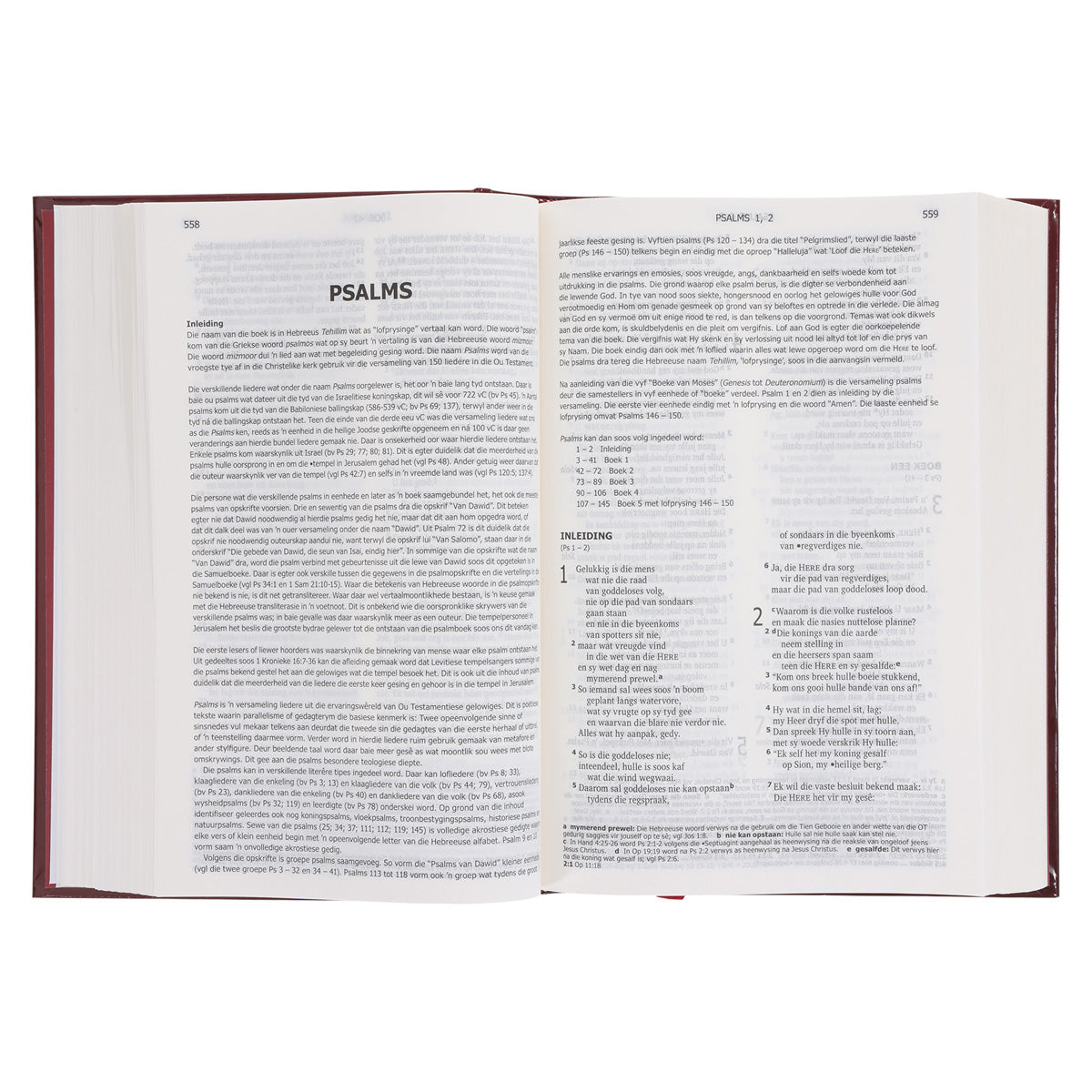 Afrikaans 2020 Vertaling Rooi Hardeband Medium Bybel Met Deuterokanonieke Boeke