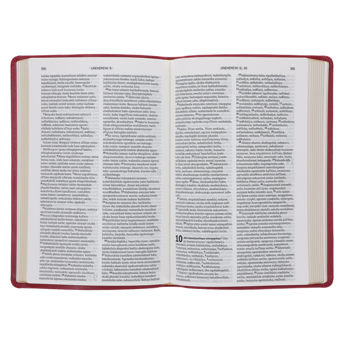 Xhosa 1975 Pink Vinyl Flexcover Bible Gilt-Edge