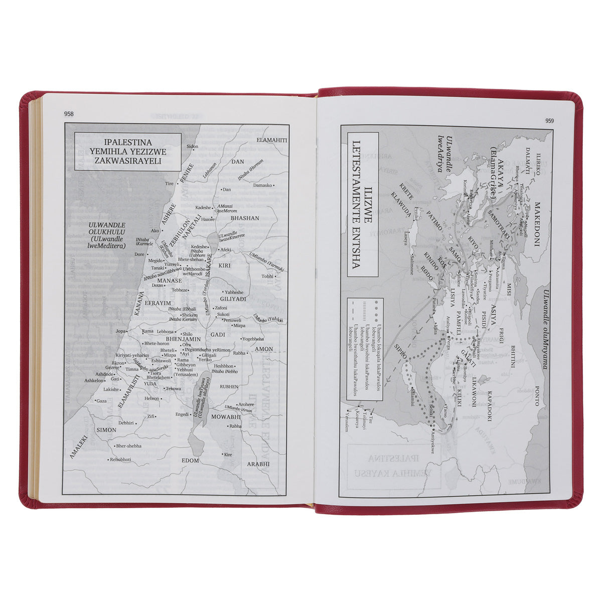 Xhosa 1975 Pink Vinyl Flexcover Bible Gilt-Edge