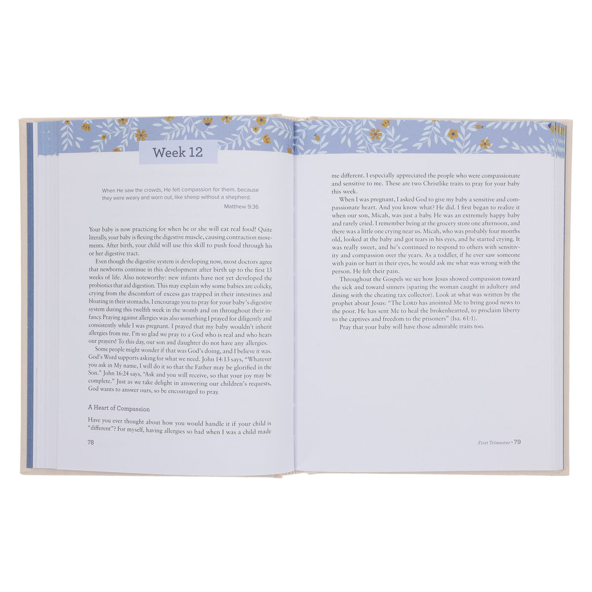 Journaling Through Your Pregnancy: Devotions & Prayers for Each Week of Your Baby's Development HC