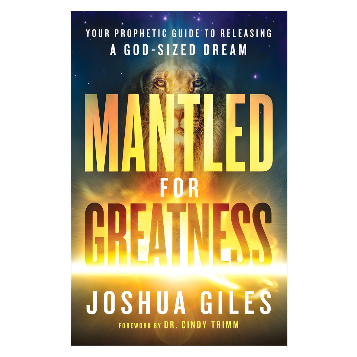 Mantled for Greatness: Your Prophetic Guide to Releasing a God-Sized Dream PB