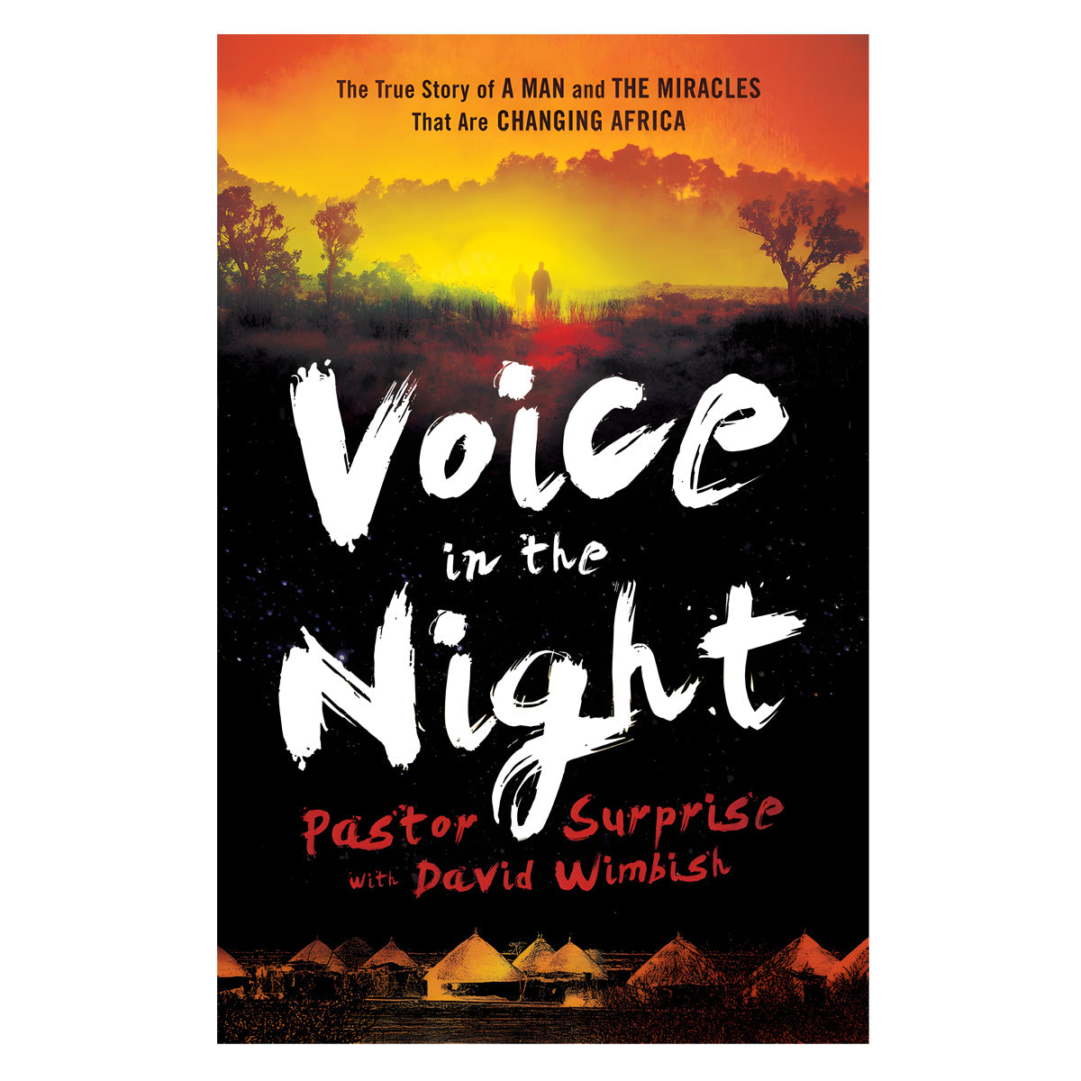 Voice In The Night (Paperback)