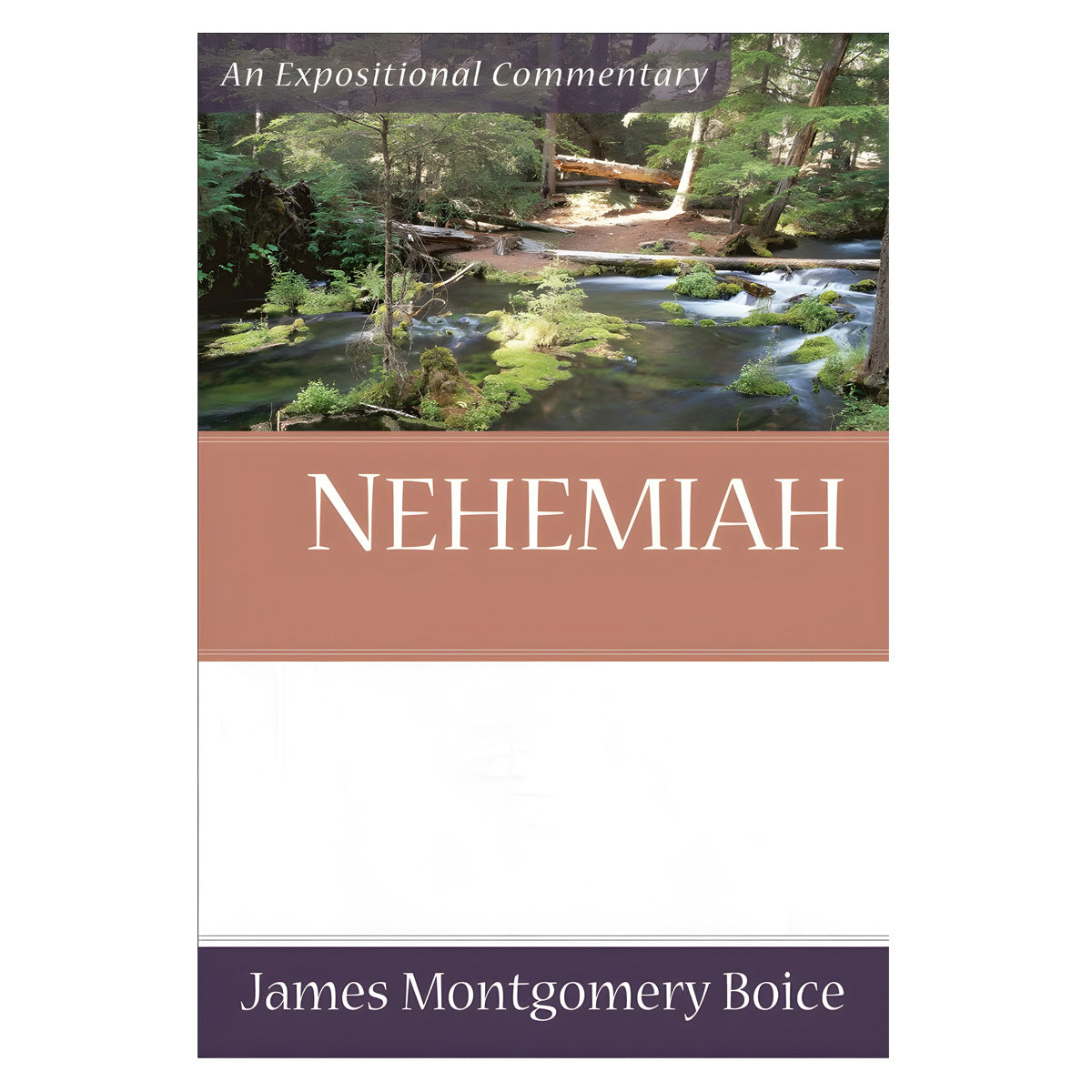 Nehemiah - Expositional Commentary (Paperback)