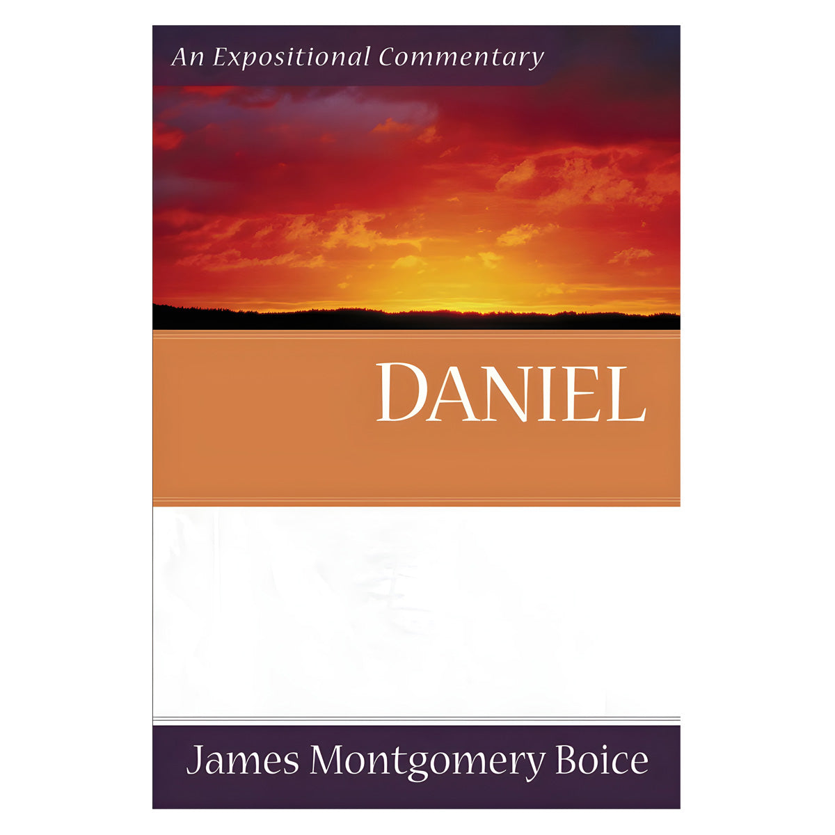 Daniel - Expositional Commentary (Paperback)