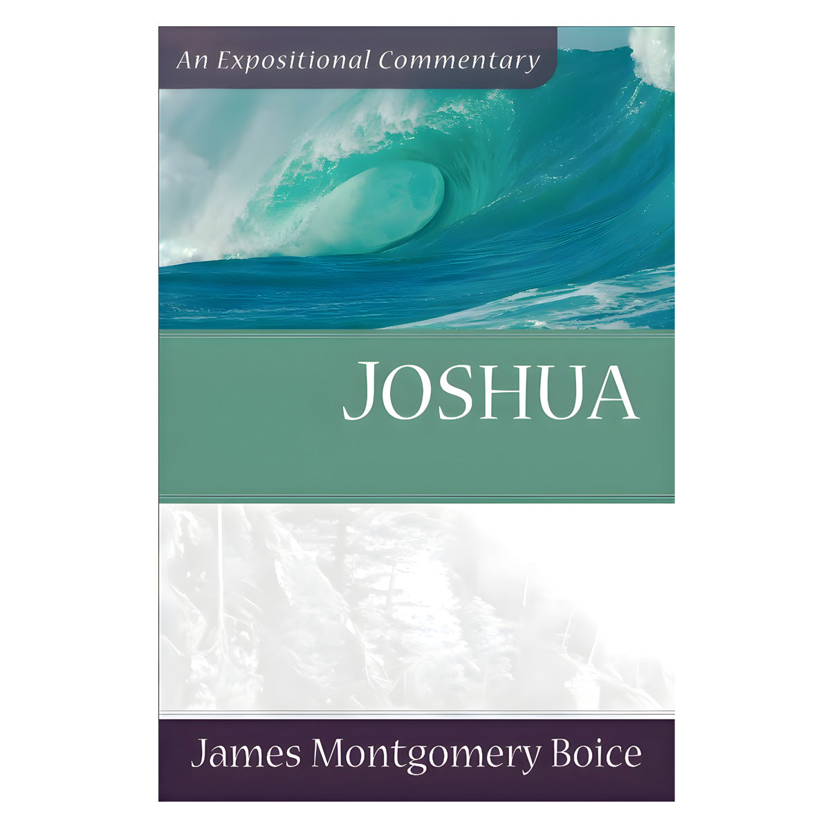 Joshua - Expositional Commentary (Paperback)