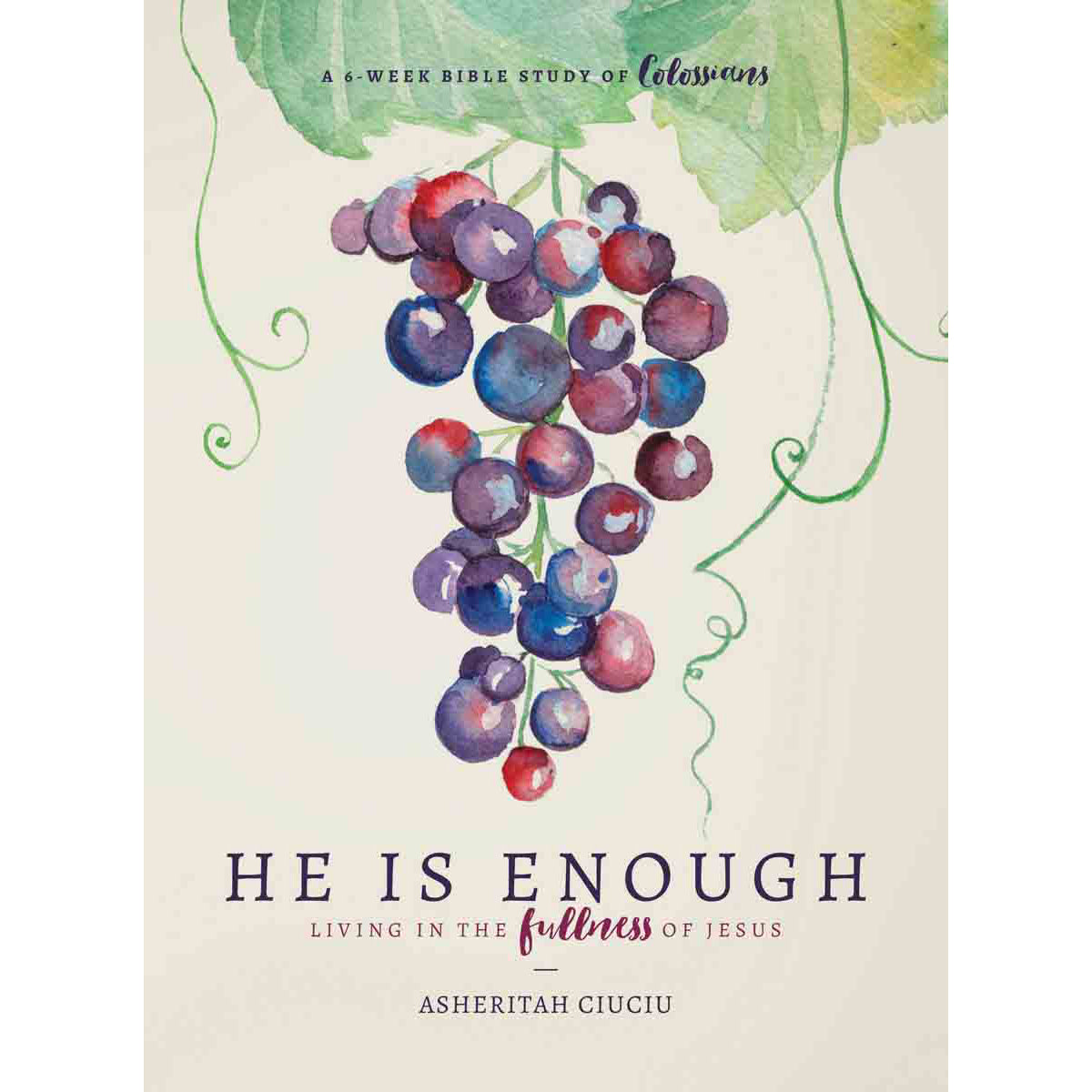 He Is Enough (Paperback)
