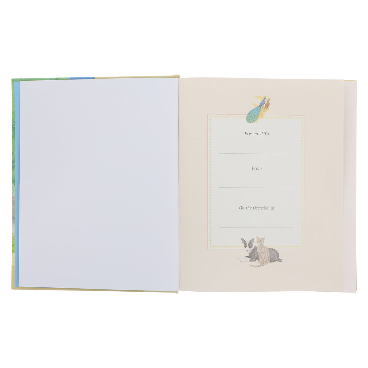 The New Bible in Pictures for Little Eyes 1st Edition (Hardcover)