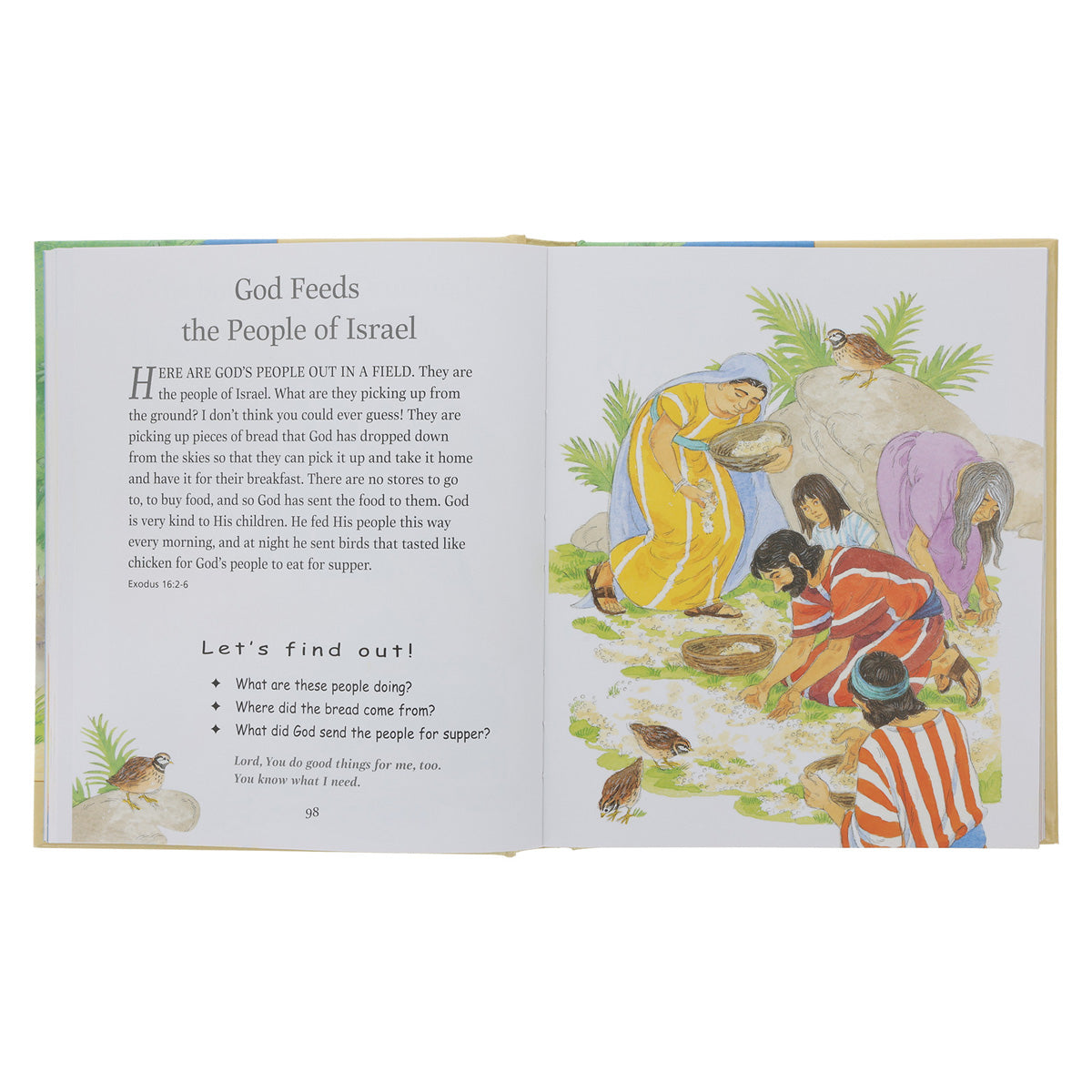 The New Bible in Pictures for Little Eyes 1st Edition (Hardcover)