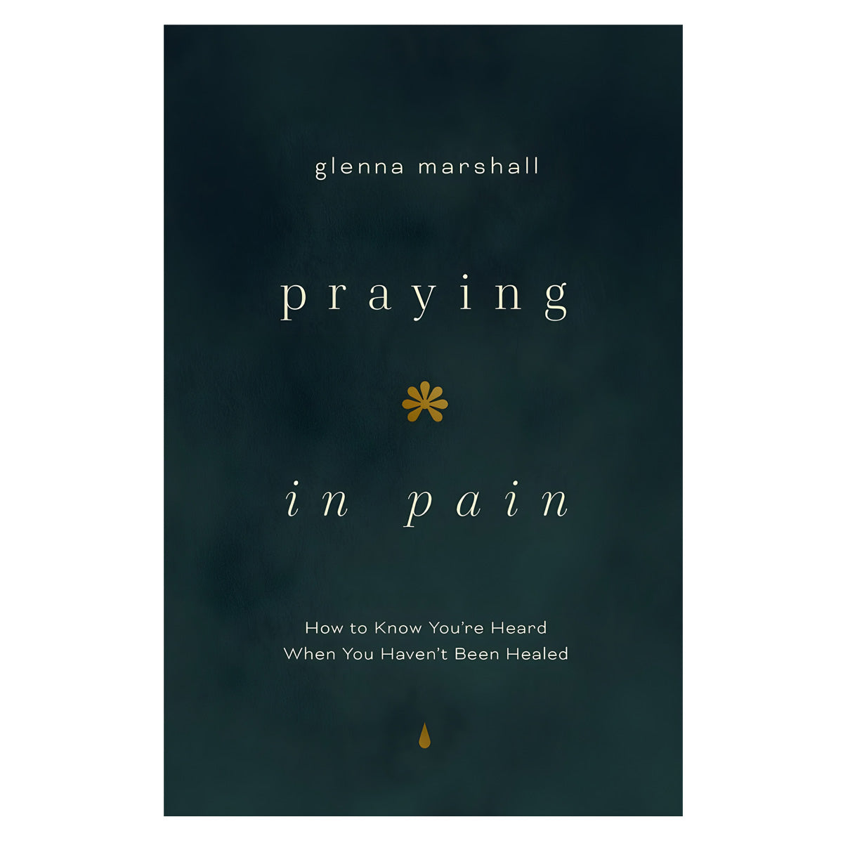Praying in Pain: How to Know You're Heard When You Haven't Been Healed (Paperback)