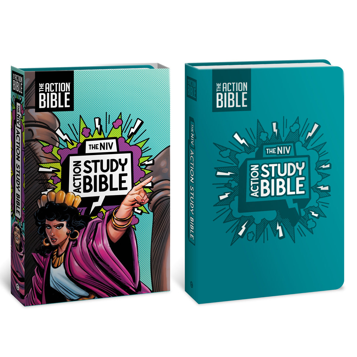 NIV Aqua Imitation Leather Action Study Bible