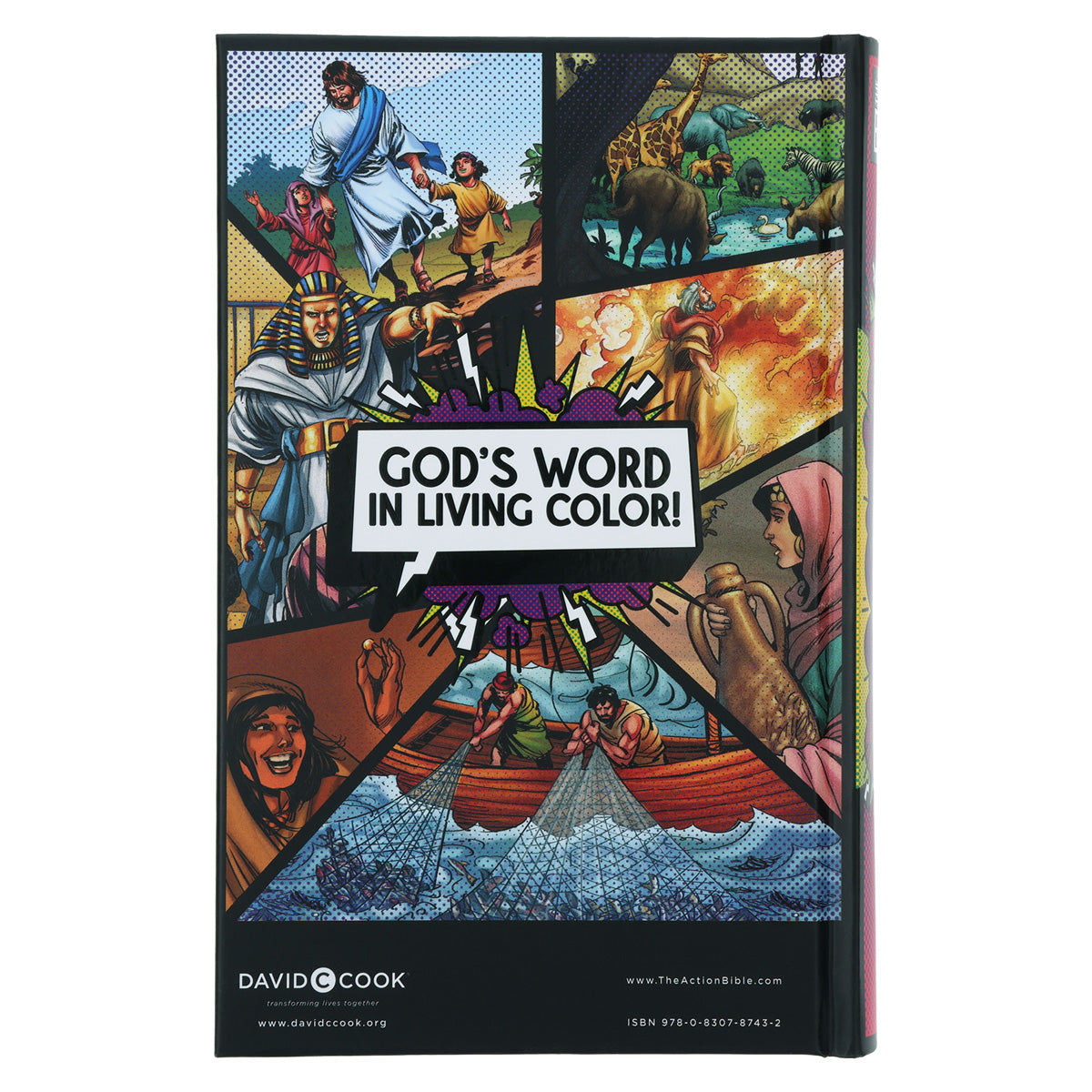 NIV Hardcover Full Color Action Study Bible