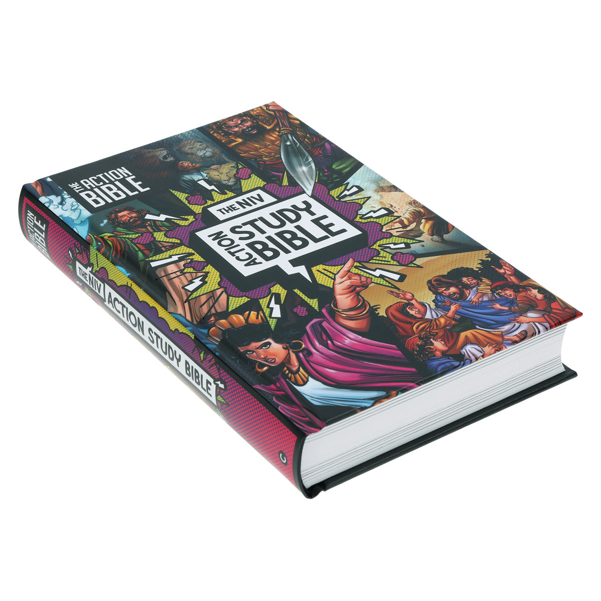NIV Hardcover Full Color Action Study Bible
