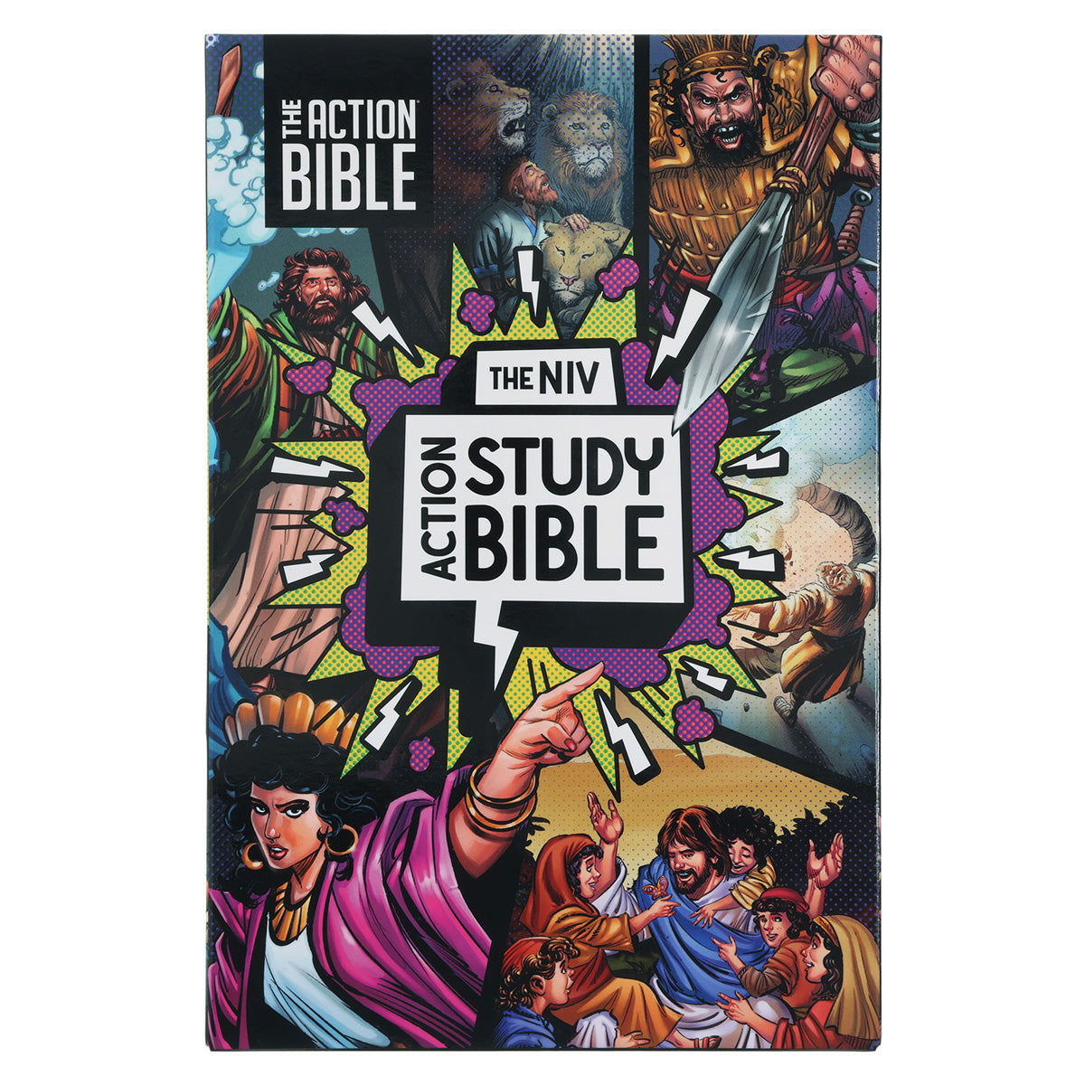 NIV Hardcover Full Color Action Study Bible