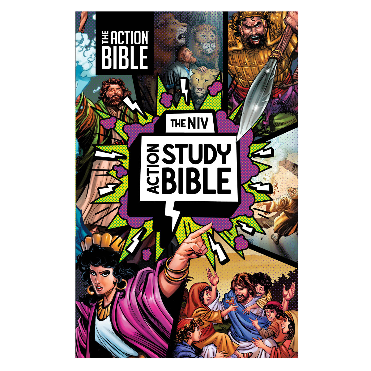 NIV Hardcover Full Color Action Study Bible