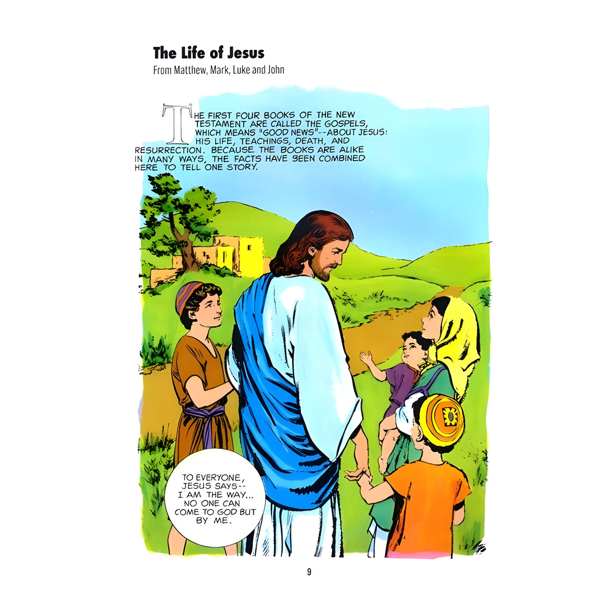 The Picture Bible New Testament (Paperback)