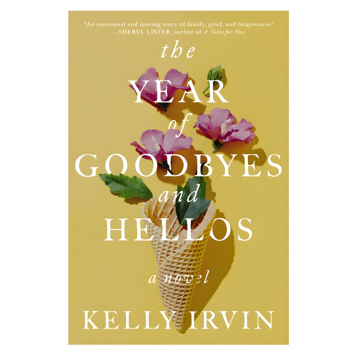 The Year of Goodbyes and Hellos: A Novel (Paperback)