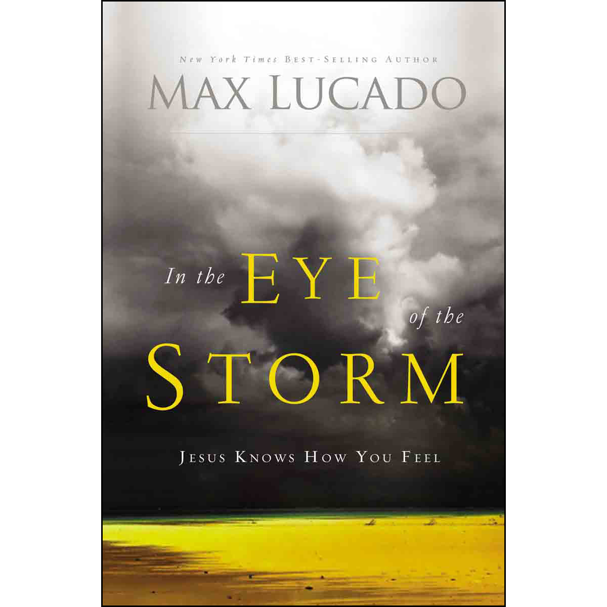 In The Eye Of The Storm (Paperback)