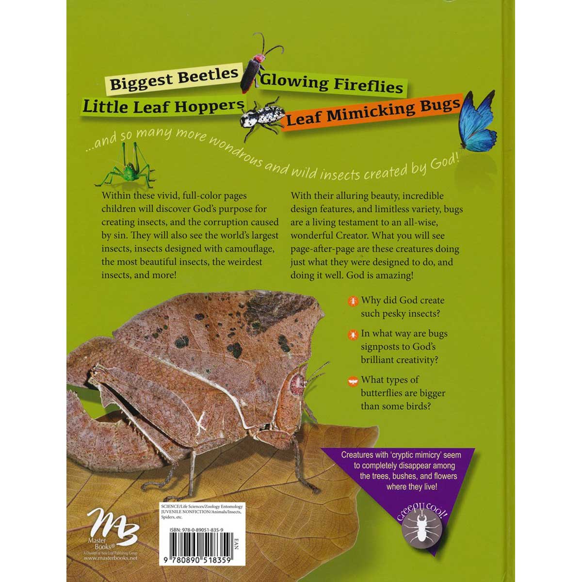 Bugs: Big And Small God Made Them All (Hardcover)