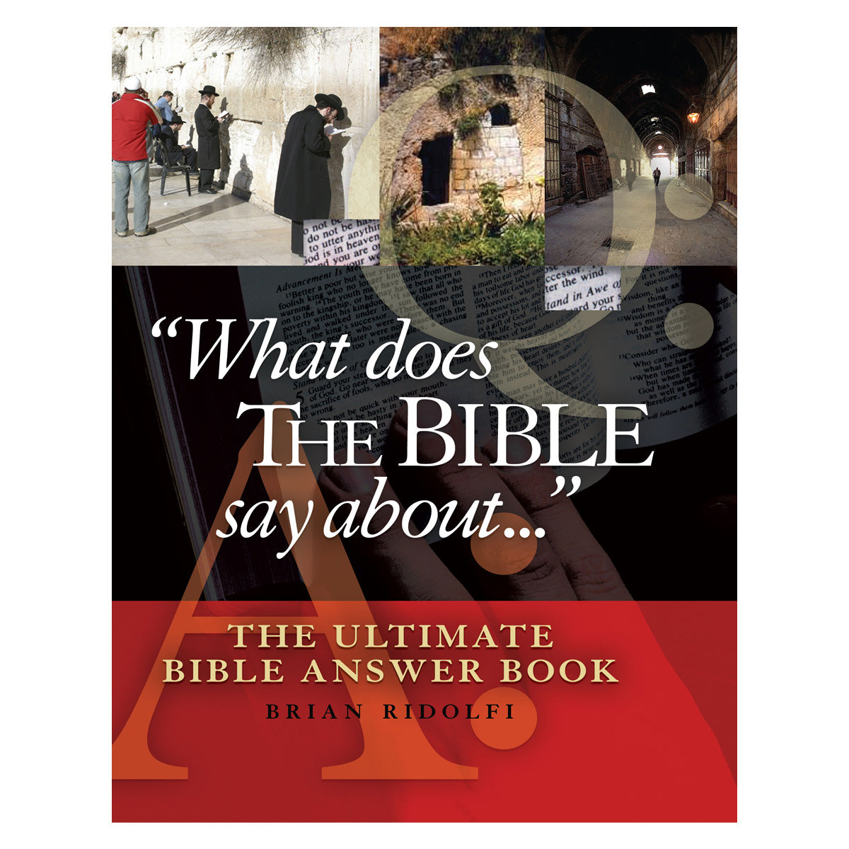What Does the Bible Say About: The Ultimate Bible Answer Book (Hardcover)