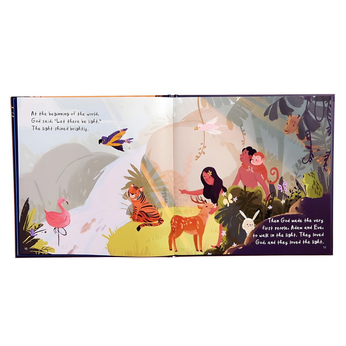 The Bright Light and the Super Scary Darkness (Hardcover)