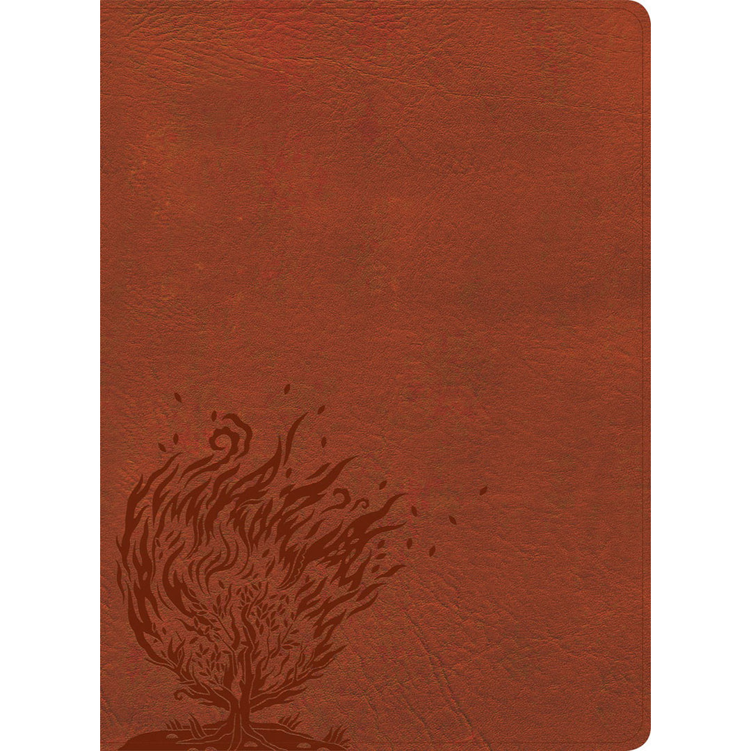 CSB Experiencing God Bible Burnt Sienna (Imitation Leather)