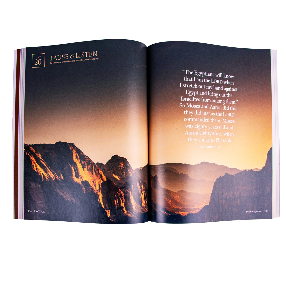 Exodus : Enter God's Story Bible Study Book - Storyteller (Paperback)