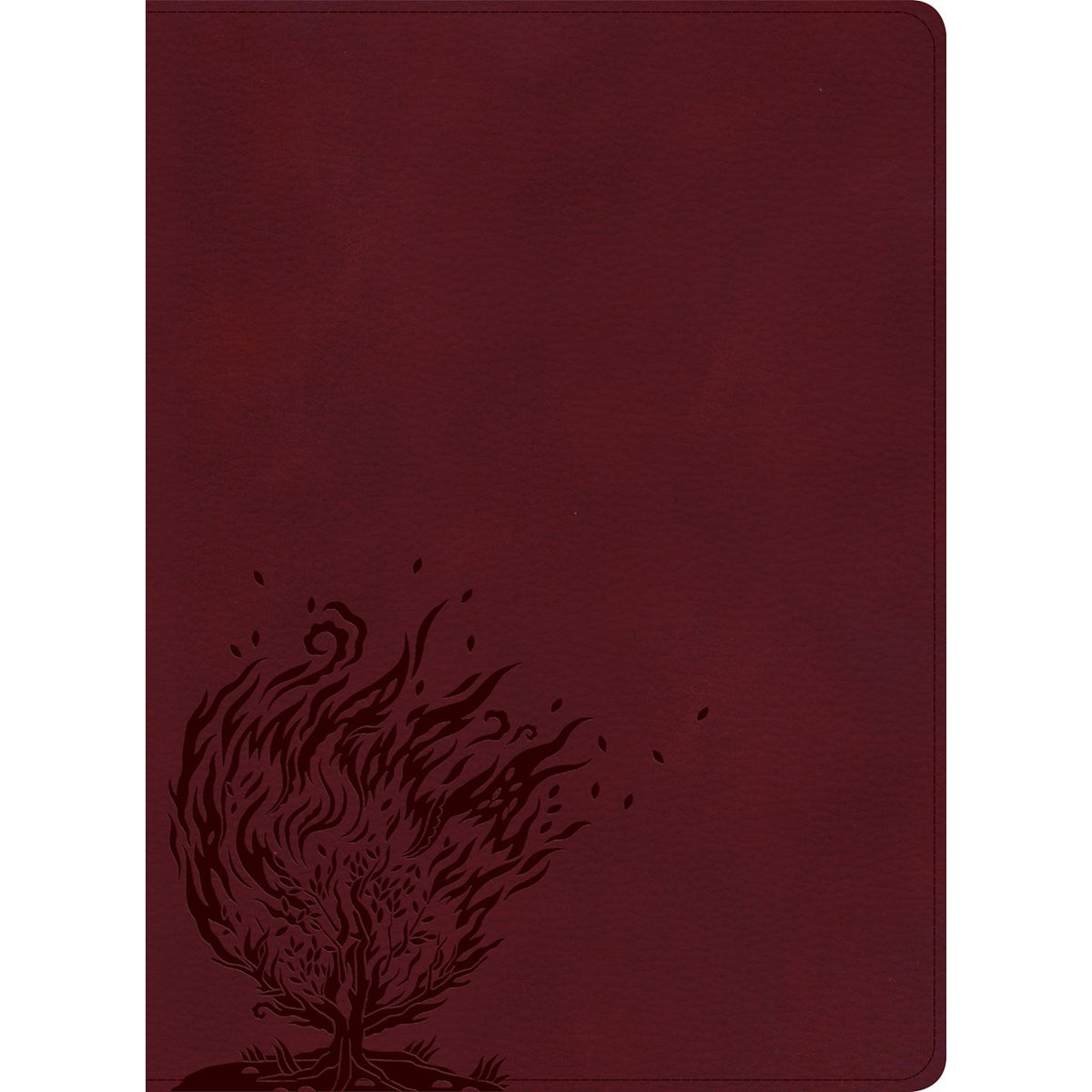 CSB Experiencing God Bible Burgundy (Imitation Leather)