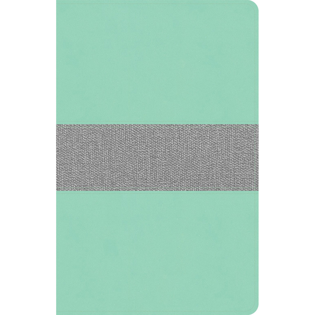 CSB Thinline Reference Bible Mint / Gray (Imitation Leather)