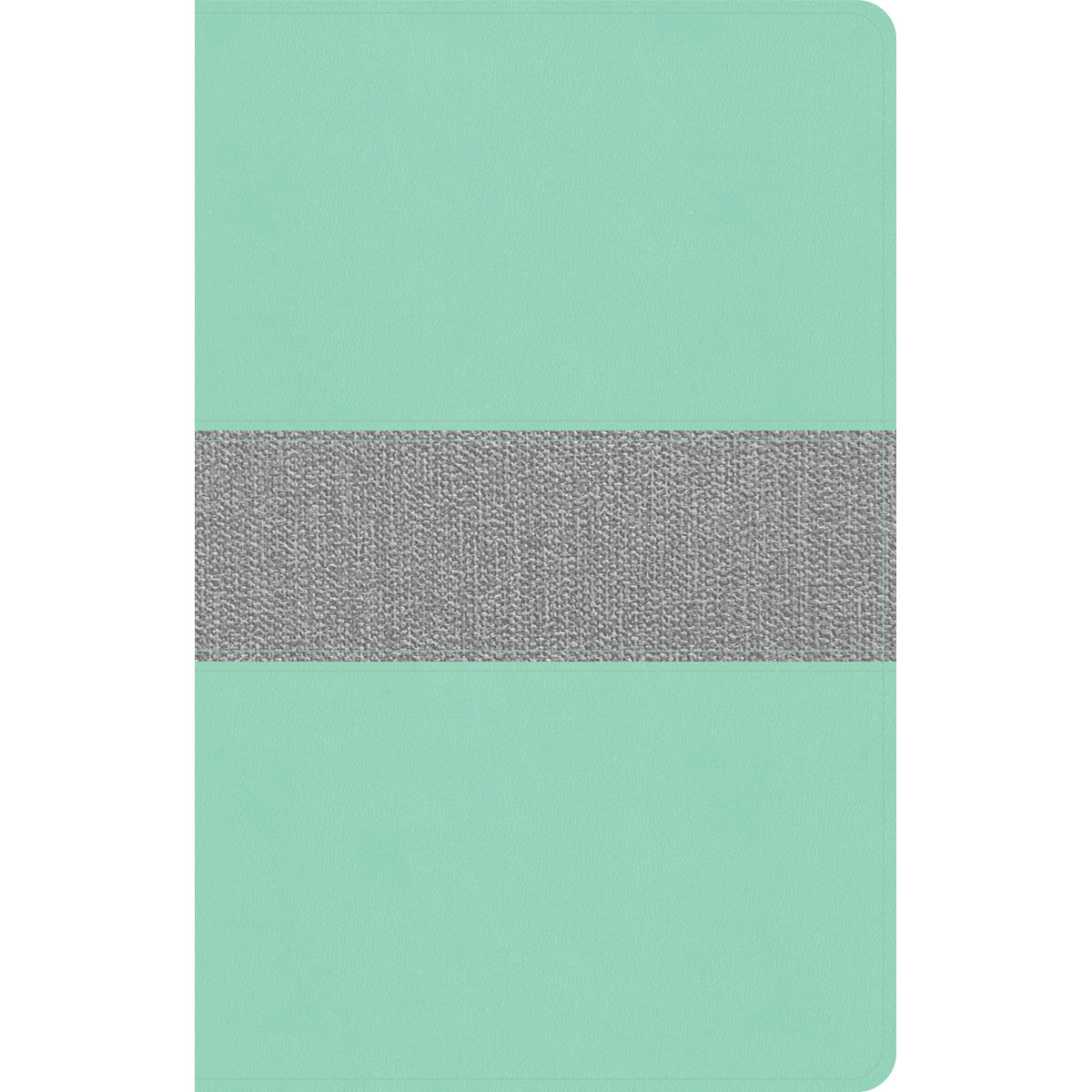CSB Thinline Reference Bible Mint / Gray (Imitation Leather)