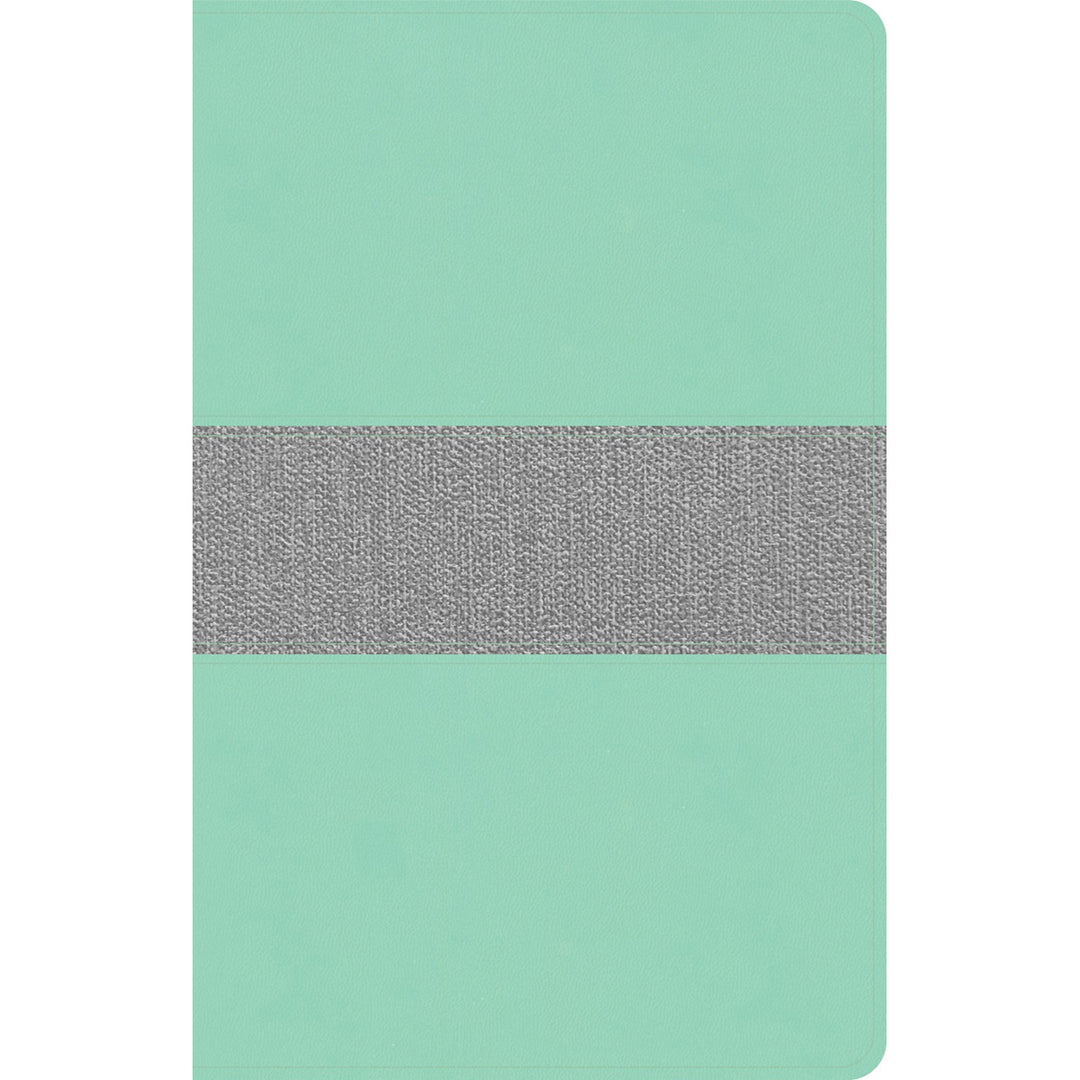 CSB Thinline Reference Bible Mint / Gray (Imitation Leather)