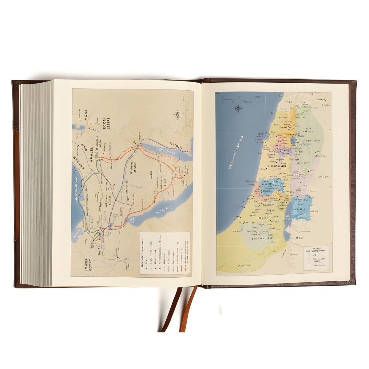 CSB Brown and Tan Imitation Leather Notetaking Bible Large Print