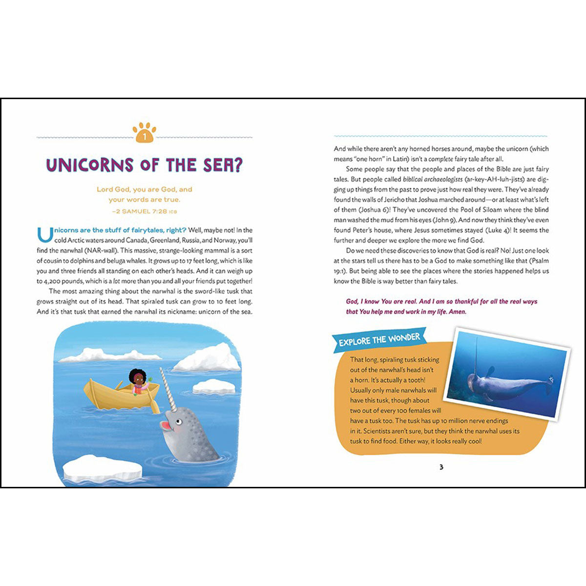 The Wonder Of Creation: 100 More Devotions About God And Science (Indescribable Kids)(Hardcover)