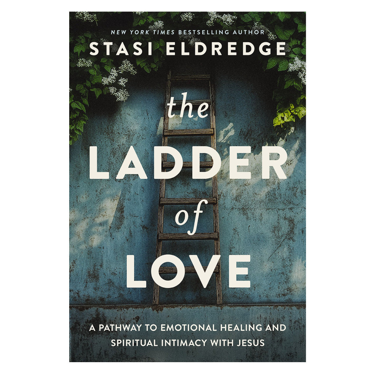 The Ladder of Love: A Pathway to Emotional Healing and Spiritual Intimacy with Jesus PB