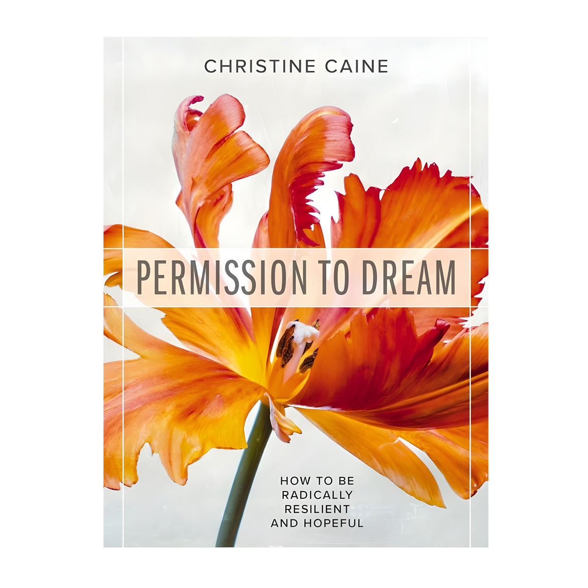Permission to Dream: How to be Radically Resilient and Hopeful (Paperback)