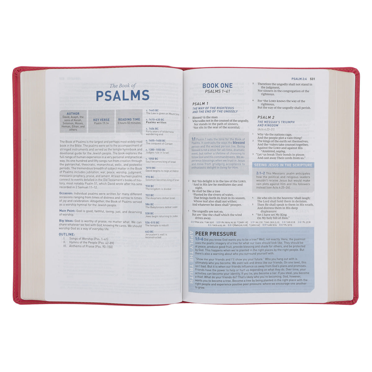 NKJV Pink Imitation Leather Student Study Bible Red Letter Comfort Print