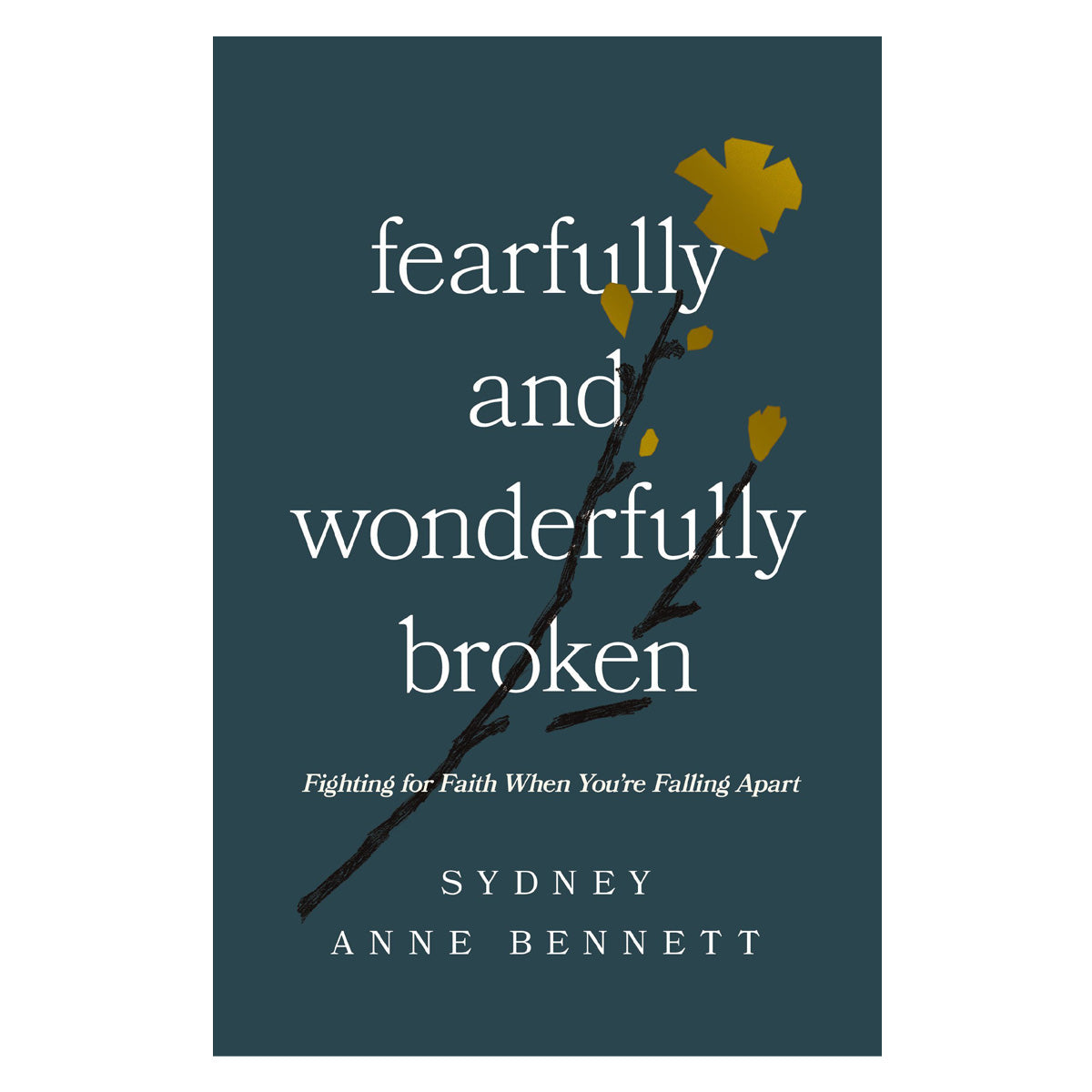 Fearfully and Wonderfully Broken: Fighting for Faith When You're Falling Apart PB