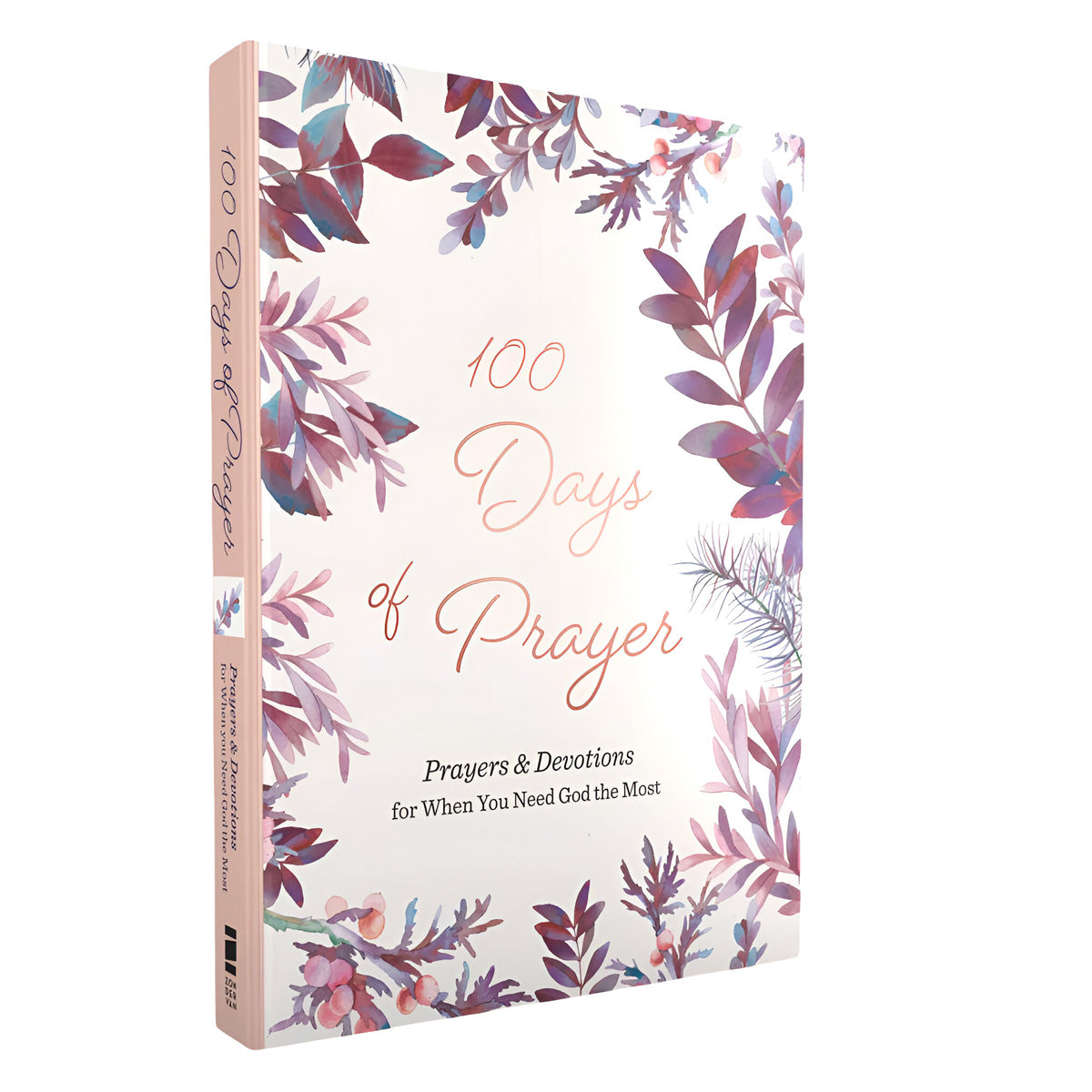 100 Days of Prayer: Prayers & Devotions for When You Need God the Most (Hardcover)