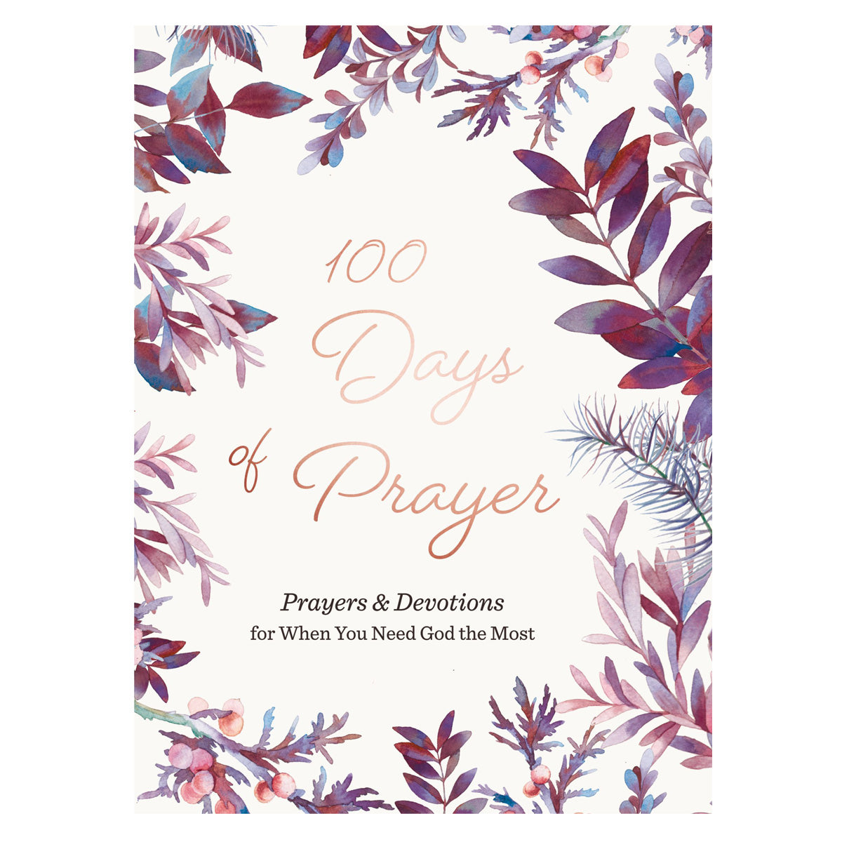 100 Days of Prayer: Prayers & Devotions for When You Need God the Most (Hardcover)