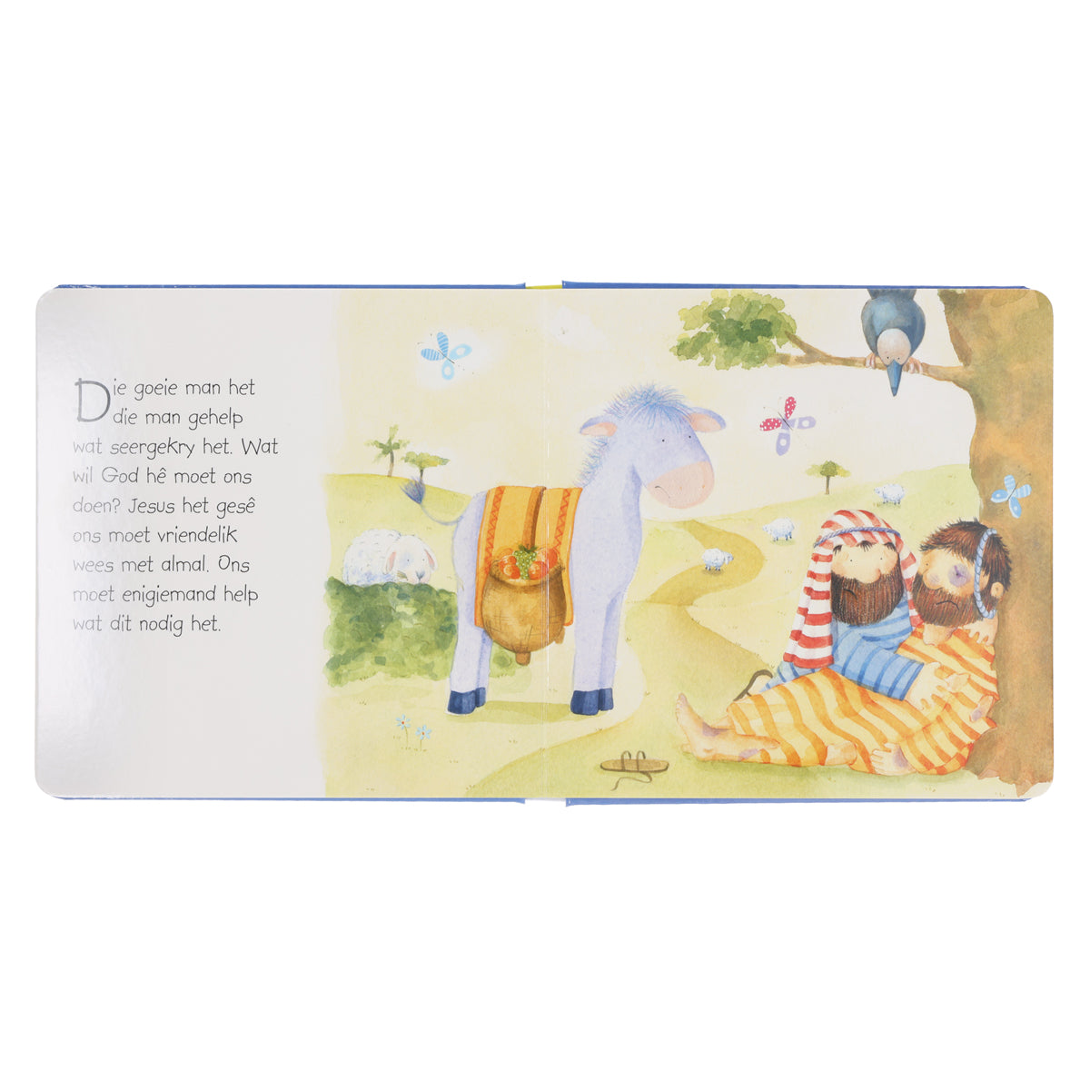 Eerste Bybel Vir Kleingoed (Kartonboekie)