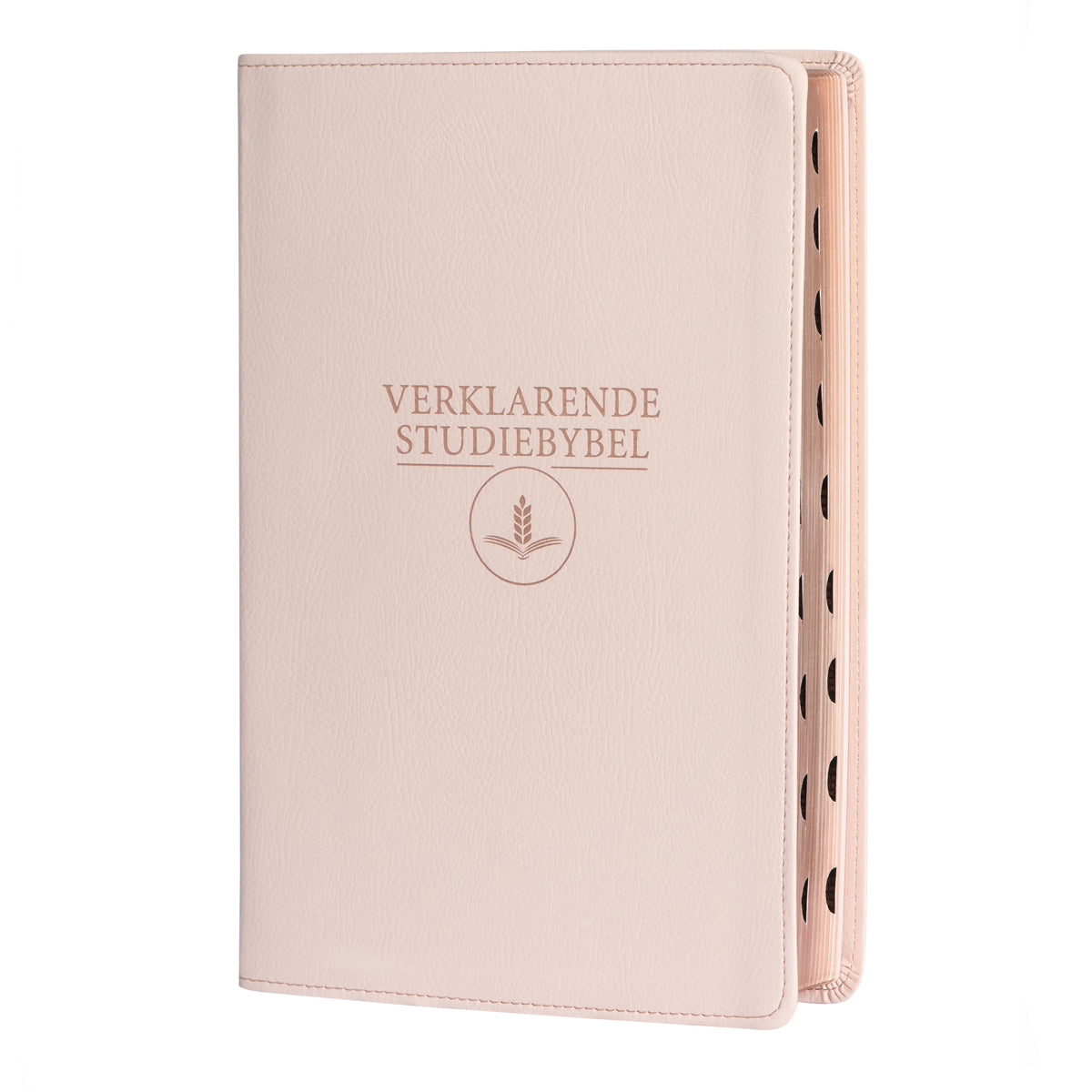 Afrikaans 1933/1953 Vertaling Ligroos Kunsleer Verklarende Studiebybel