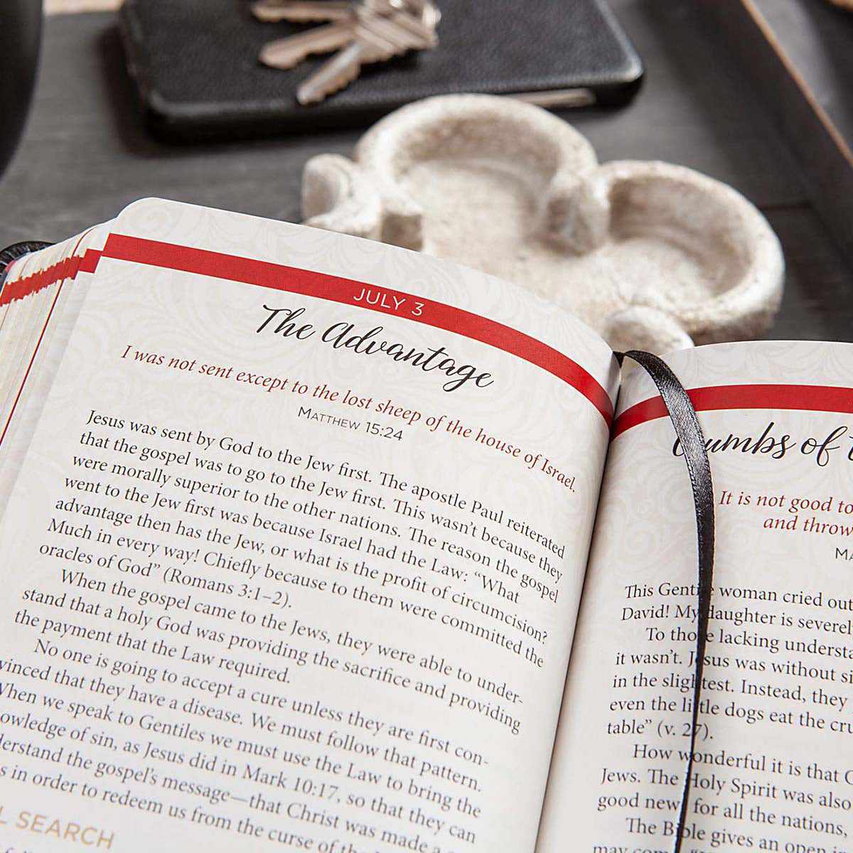 Jesus In Red 365 Meditations On The Words Of Jesus (Imitation Leather)