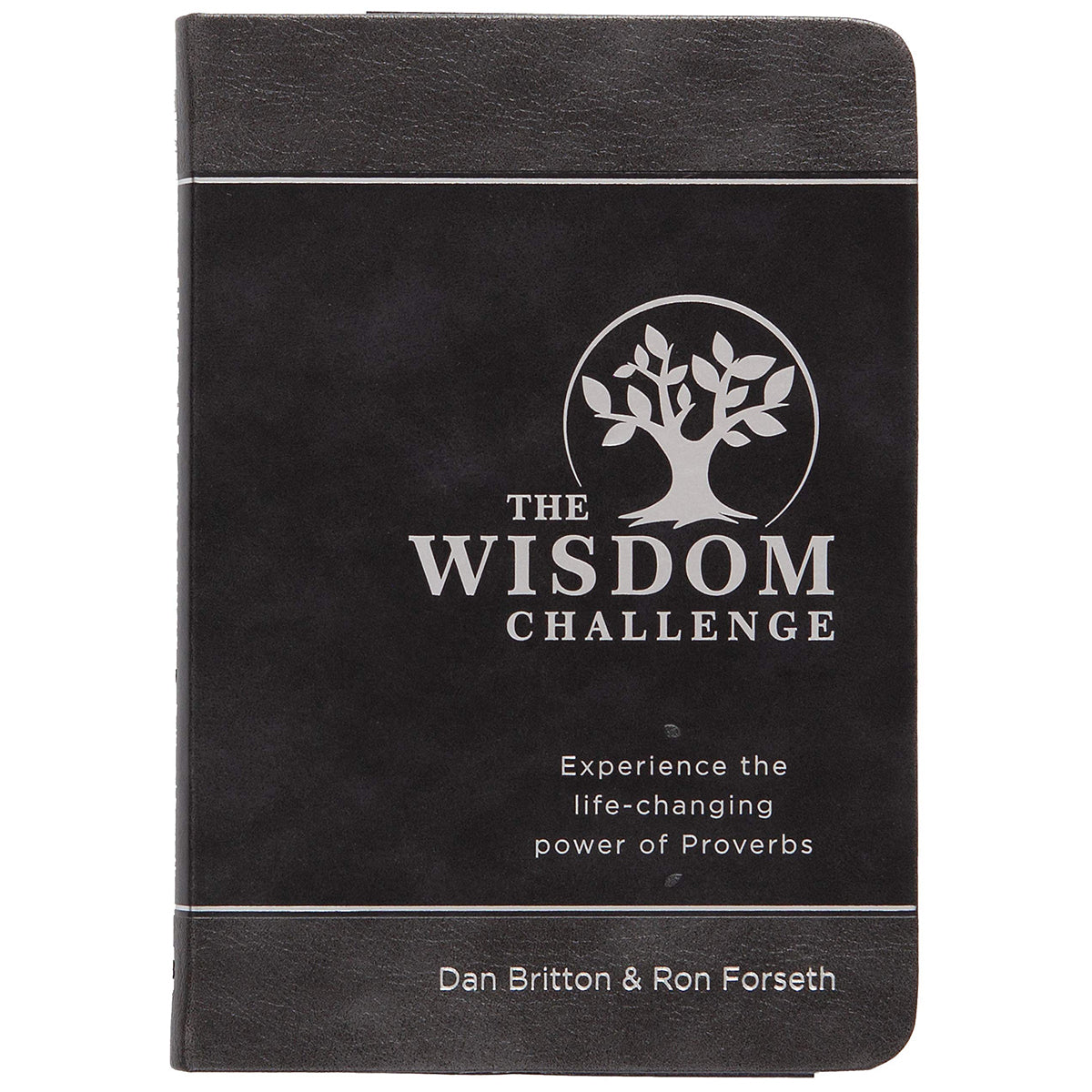 The Wisdom Challenge: Experience The Life-Changing Power Of Proverbs (Imitation Leather)