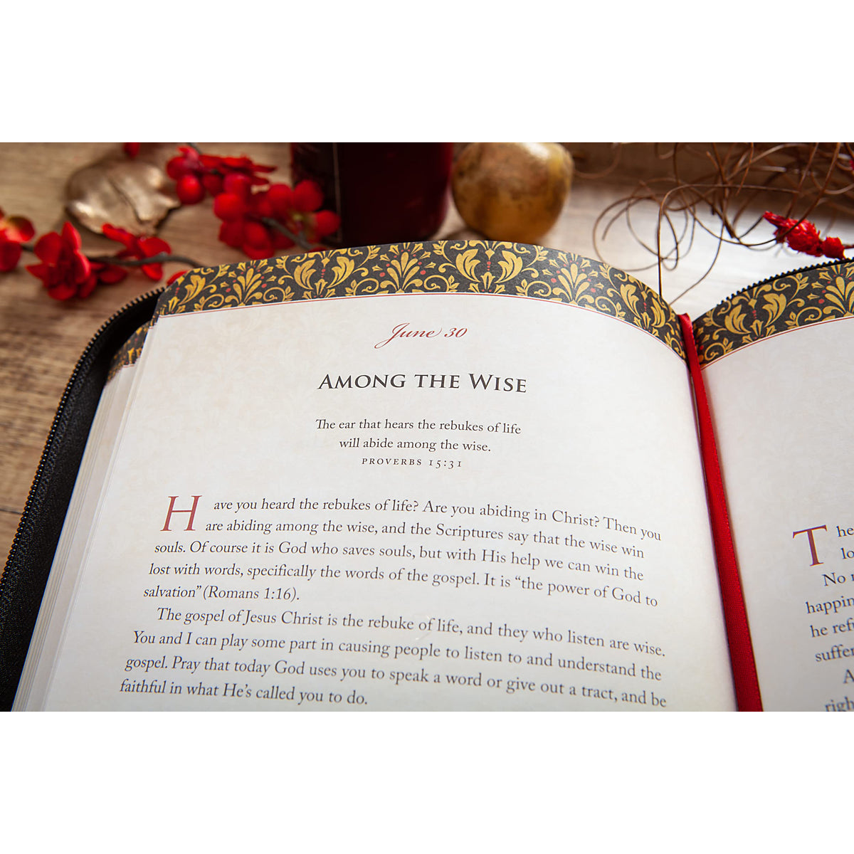 Wisdom For Life Ziparound Devotional: 365 Daily Devotions From The Book Of Proverbs IM