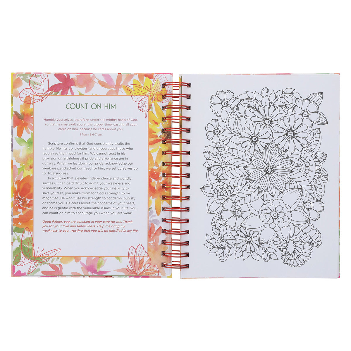 Words to Warm a Woman's Heart: Devotional Coloring Book (Spiral-Bound)