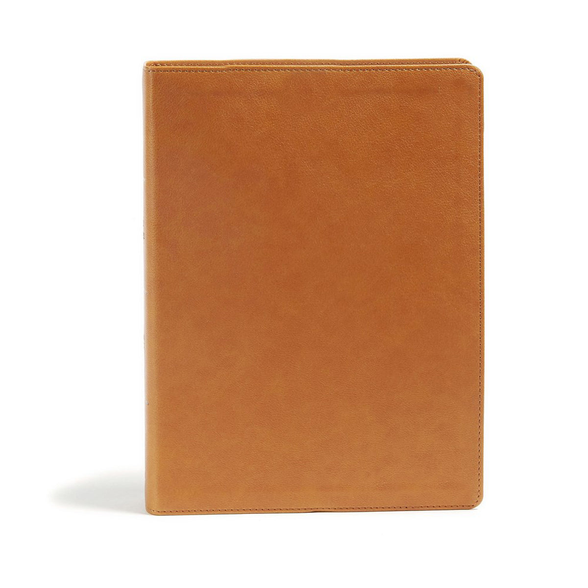 CSB Holy Land Illustrated Bible Ginger (Imitation Leather)