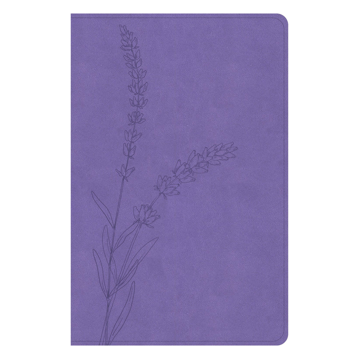 KJV Lavender Imitation Leather Personal Size Bible Giant Print Indexed